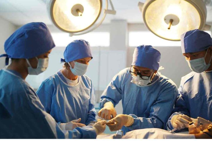 Breakthrough in Xenotransplantation Chinese Doctors Successfully Implant Pig Liver in Human for the First Time Herald Diary