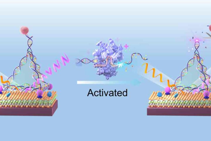 sensor activation highres Herald Diary