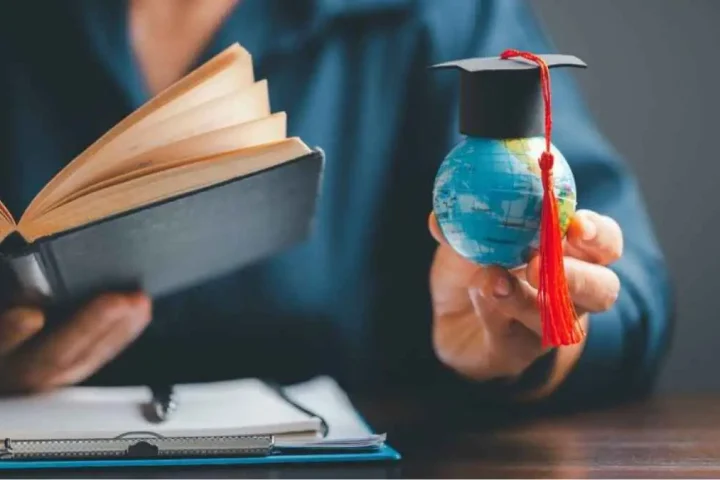 Education Can Lead to the World You Need